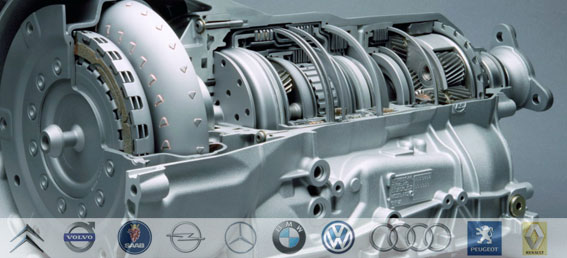 şanzıman beyin tamiri